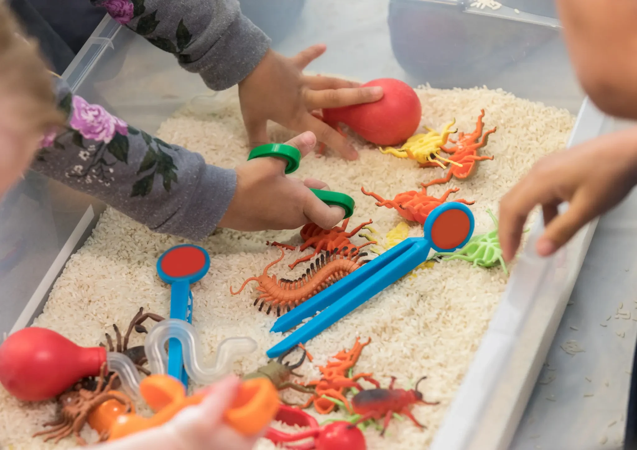 Child using hands to play with sensory toys in rice during speech therapy for Sensory Motor Processing Disorder